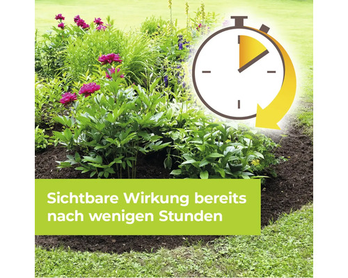 Beet mit Pflanzen und Timer-Symbol, das eine schnelle Wirkung anzeigt