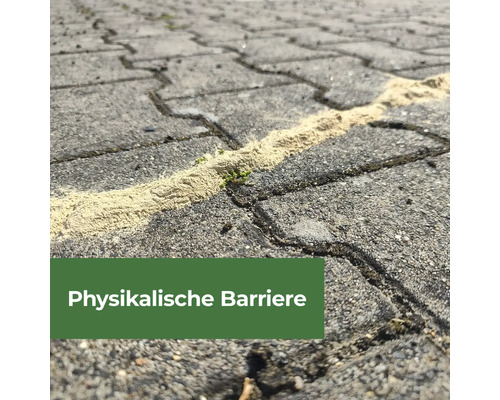 Pflastersteine mit einer physikalischen Barriere gegen Unkraut