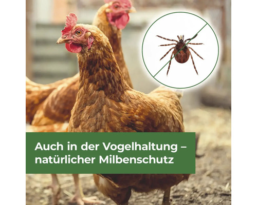 Natürlicher Milbenschutz für Geflügel