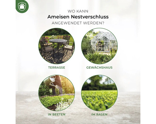 Anwendungsbereiche für Ameisen Nestverschluss: Terrasse, Gewächshaus, Beete und Rasen