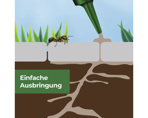 Darstellung einer einfachen Anwendung von Ameisenbekämpfungsmitteln zur Schädlingsbekämpfung