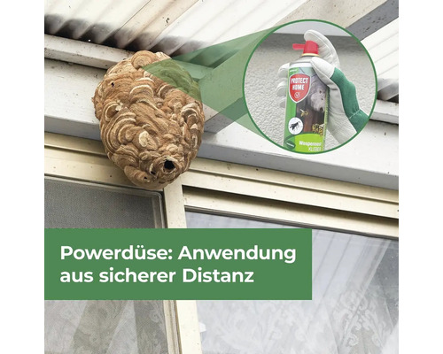 Wespennest wird mit Insektenspray aus sicherer Entfernung bekämpft