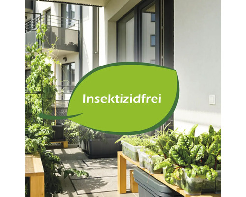 Balkon mit Gemüsebeeten und dem Symbol: Insektizidfrei