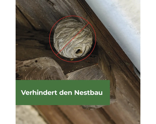 Wespennest mit rotem Verbotsschild zur Vorbeugung des Nestbaus