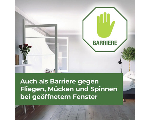 Insektenschutzgitter am Fenster zum Schutz vor Insekten