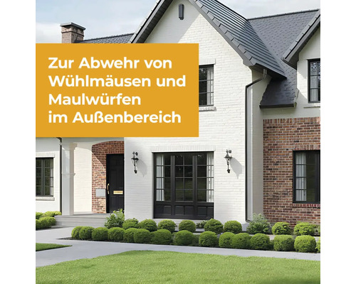 Abwehr von Wühlmäusen und Maulwürfen im Außenbereich