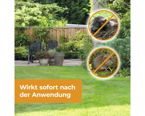 Garten mit Rasenfläche, Gartenmöbeln und Verbotsschildern für Maulwurf und Wühlmaus
