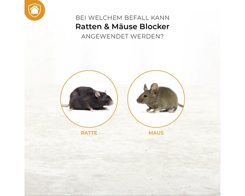Anwendungsbereiche von Ratten- und Mäuseblocker bei Ratten und Mäusen