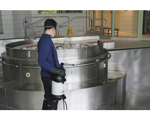 Mann mit Sprühgerät in der Nähe eines Beckens mit Steinen in einer Wellnessanlage.