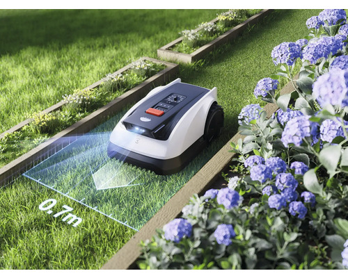 Rasenmähroboter auf Rasenfläche mit Blumenbeeten