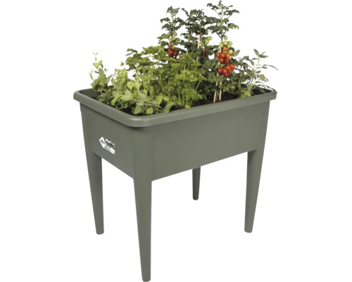 Hochbeet aus Kunststoff mit verschiedenen Pflanzen wie Tomaten, Petersilie und Erbsen.