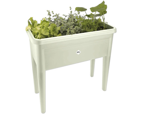 Hochbeet mit Salat, Kräutern und anderen Pflanzen.