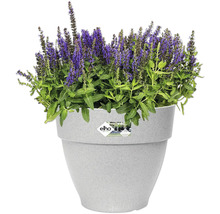 Blumentopf Elho Vibia Kunststoff 30 x 29,8 x 25,8 cm grau