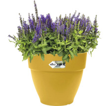 Blumentopf Elho Vibia Kunststoff 25 x 24,5 x 21 cm gelb