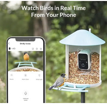 Vogelhaus mit integrierter Kamera und Smartphone-Ansicht einer Vogelbeobachtung