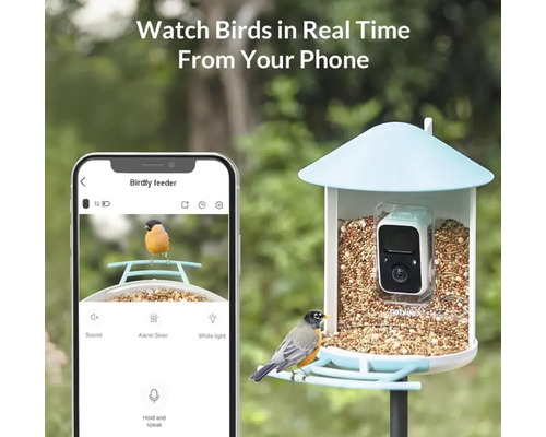 Vogelhaus mit integrierter Kamera und Smartphone-Ansicht einer Vogelbeobachtung