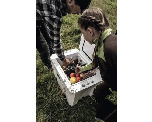 Personen greifen in eine Kühlbox mit Getränken und Lebensmitteln im Freien