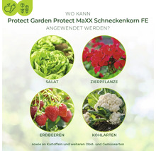 Anwendungsbereiche für Schneckenkorn: Salat, Zierpflanzen, Erdbeeren und Kohlarten.