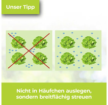Illustration zur korrekten Aussaat von Saatgut: Breitflächiges Streuen wird empfohlen