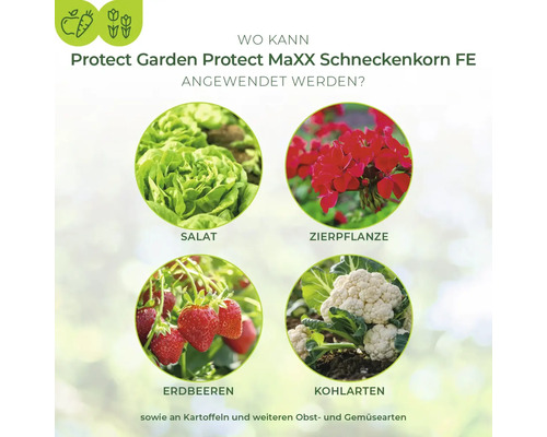 Anwendungsbereiche von Schneckenkorn: Salat, Zierpflanze, Erdbeeren, Kohlarten