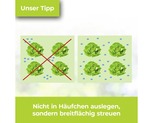 Illustration zur Aussaat von Saatgut: Breitflächiges Ausbringen im Vergleich zur Häufchenbildung.