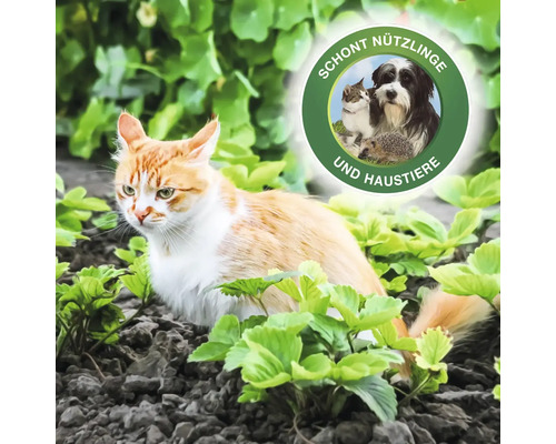 Katze im Garten mit Siegel, das Nützlinge und Haustiere schont