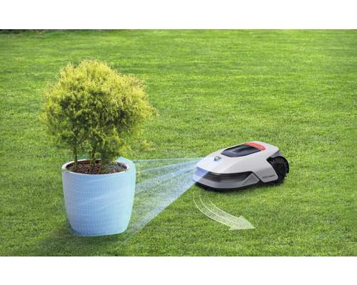 Rasenroboter mäht um einen Topf mit einem kleinen Baum auf einer Rasenfläche.