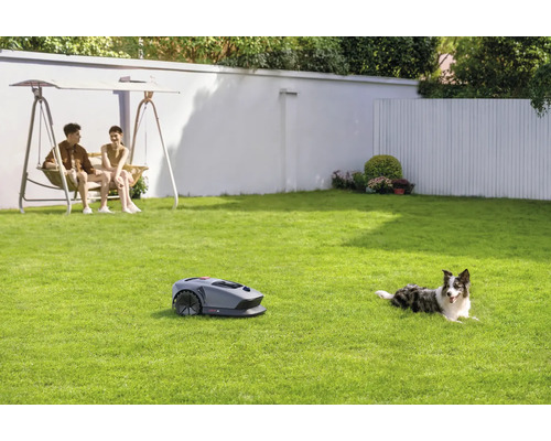 Szene mit Rasenmähroboter, Paar auf Schaukel und Hund auf Rasen