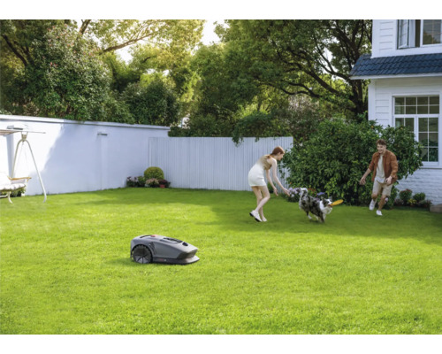 Rasenmähroboter im Einsatz, während ein Paar mit einem Hund im Garten spielt