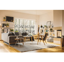 Wohnzimmer mit Sofa, Regalen, Fenster und gestreiftem Teppich