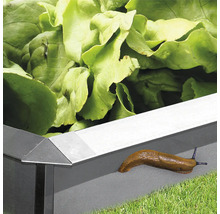 Schneckenblech 100 x 20 cm verzinkter Stahl