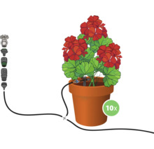 Blumentopf mit roter Geranie und Bewässerungssystem