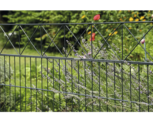 Metallzaun mit Drahtstruktur und Pflanzen im Garten