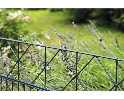 Gartenzaun vor Lavendelbeet