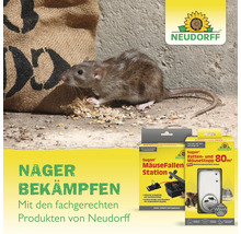 Szene mit einer Ratte neben einem Sack Getreide und Produkten zur Nagetierbekämpfung von Neudorff.