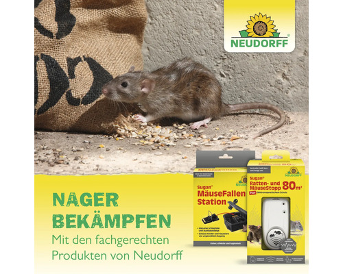 Szene mit einer Ratte neben einem Sack Getreide und Produkten zur Nagetierbekämpfung von Neudorff.