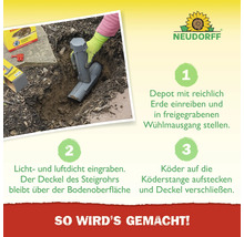 Anleitung zur Anwendung eines Wühlmaus-Depots mit den Schritten: Depot mit Erde einreiben und in Wühlmausgang stellen, licht- und luftdicht eingraben, Köder auf Köderstange stecken und Deckel verschließen. Neudorff Logo.