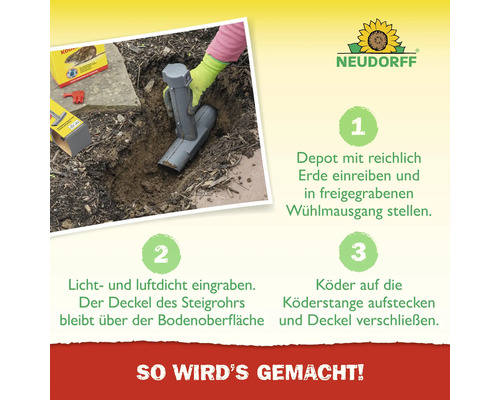 Anleitung zur Anwendung eines Wühlmaus-Depots mit den Schritten: Depot mit Erde einreiben und in Wühlmausgang stellen, licht- und luftdicht eingraben, Köder auf Köderstange stecken und Deckel verschließen. Neudorff Logo.