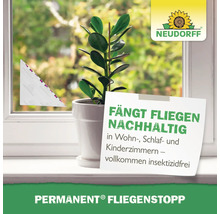 Aufnahme einer Fliegenfalle am Fenster mit Pflanze und Neudorff Logo