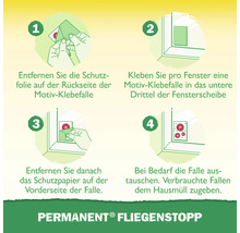 Anleitung zur Anwendung einer Fenster-Fliegenfalle in vier Schritten