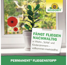 Neudorff Permanent Fliegenstopp mit Fenster, Pflanze und Fliegenfalle
