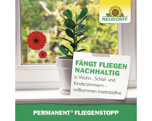 Neudorff Permanent Fliegenstopp mit Fenster, Pflanze und Fliegenfalle