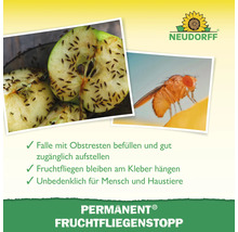 Produktbild des Permanent Fruchtfliegenstopps mit Fruchtfliegen auf einem Apfel und Nahaufnahme einer Fruchtfliege. Neudorff Logo.