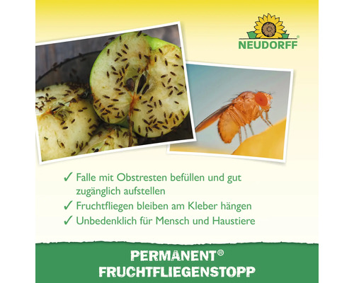 Produktbild des Permanent Fruchtfliegenstopps mit Fruchtfliegen auf einem Apfel und Nahaufnahme einer Fruchtfliege. Neudorff Logo.