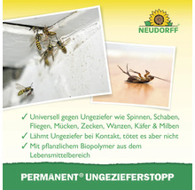 Darstellung von Wespen und einer toten Kakerlake zur Illustration der Wirkung des Insektenstopps