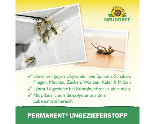 Darstellung von Wespen und einer toten Kakerlake zur Illustration der Wirkung des Insektenstopps