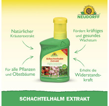 Neudorff Schachtelhalm Extrakt in einer grünen Flasche mit gelbem Verschluss.