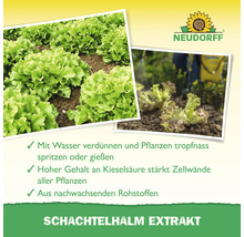 Neudorff Logo. Ackerschachtelhalm Extrakt zur Stärkung von Pflanzen.