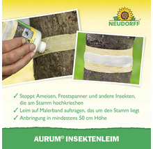 Anwendung von Insektenleim auf einem Baumstamm zur Schädlingsbekämpfung.