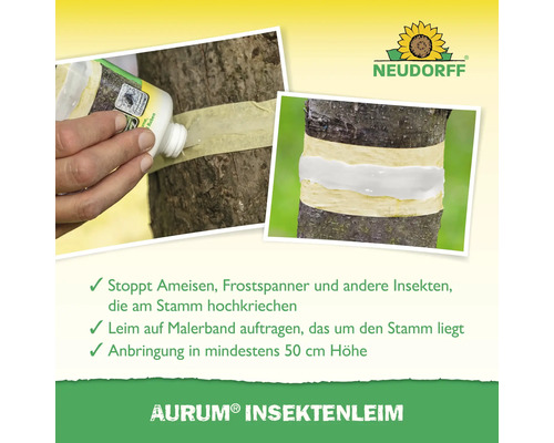 Anwendung von Insektenleim auf einem Baumstamm zur Schädlingsbekämpfung.